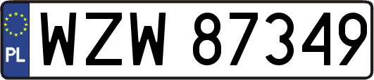 WZW87349