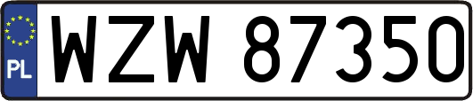 WZW87350