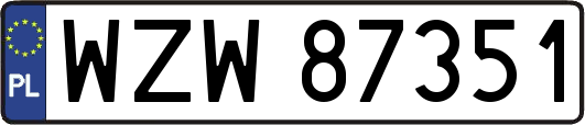 WZW87351
