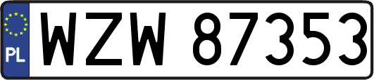 WZW87353