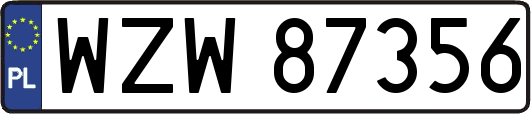 WZW87356