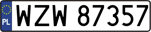 WZW87357