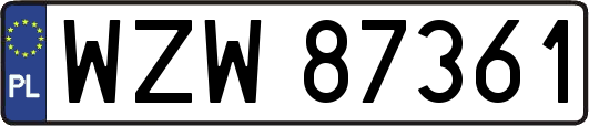 WZW87361
