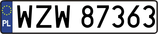 WZW87363