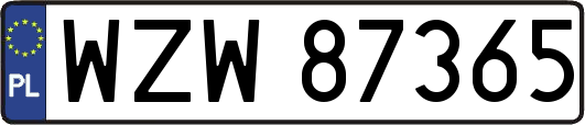 WZW87365