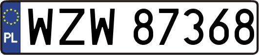 WZW87368