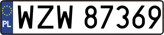WZW87369