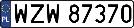 WZW87370