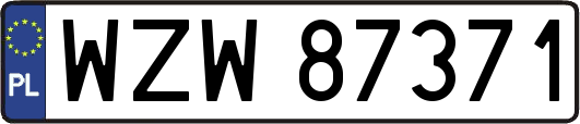 WZW87371