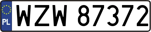 WZW87372