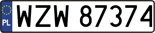 WZW87374