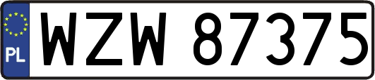 WZW87375