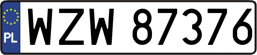 WZW87376