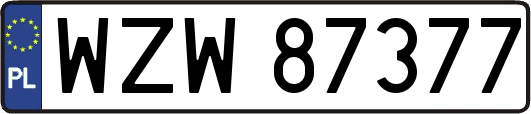WZW87377