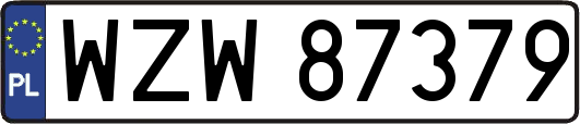 WZW87379