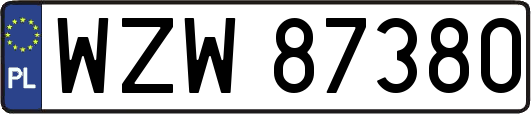 WZW87380