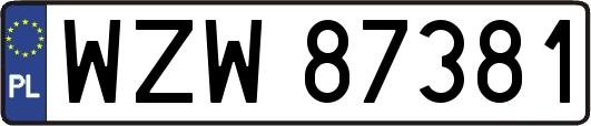 WZW87381