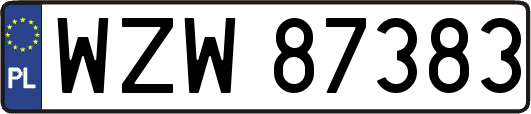 WZW87383
