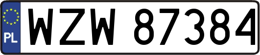 WZW87384