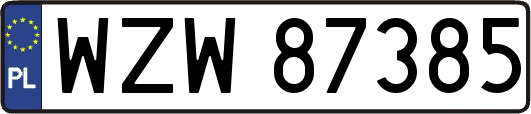 WZW87385