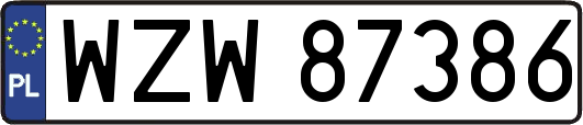 WZW87386
