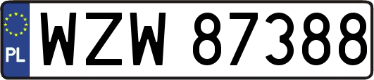 WZW87388