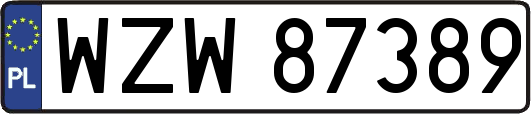 WZW87389
