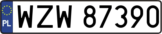 WZW87390