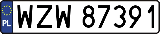 WZW87391