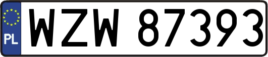WZW87393