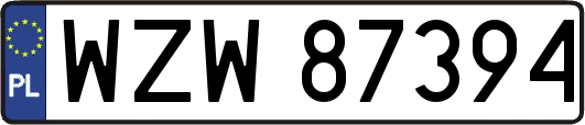 WZW87394