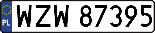 WZW87395