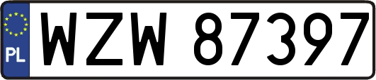 WZW87397