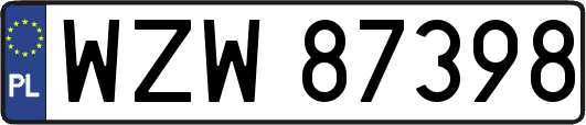 WZW87398