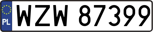 WZW87399