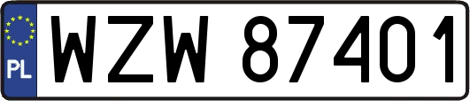 WZW87401