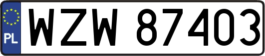 WZW87403