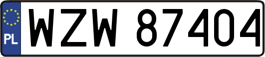 WZW87404