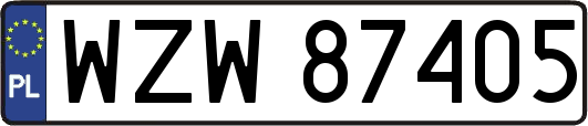 WZW87405