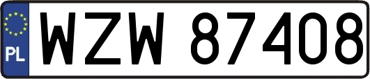 WZW87408