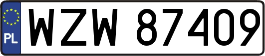 WZW87409