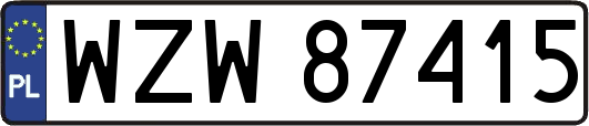 WZW87415