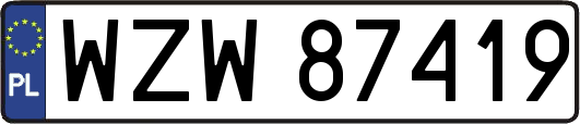 WZW87419