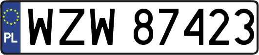 WZW87423