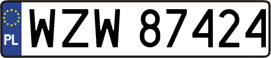 WZW87424