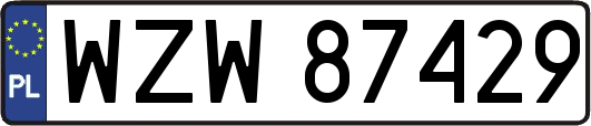 WZW87429