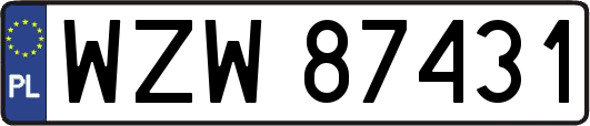 WZW87431