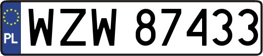 WZW87433