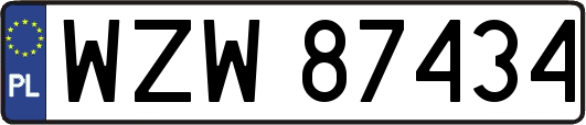 WZW87434