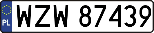 WZW87439